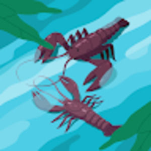 Meet your Posher, Shayne